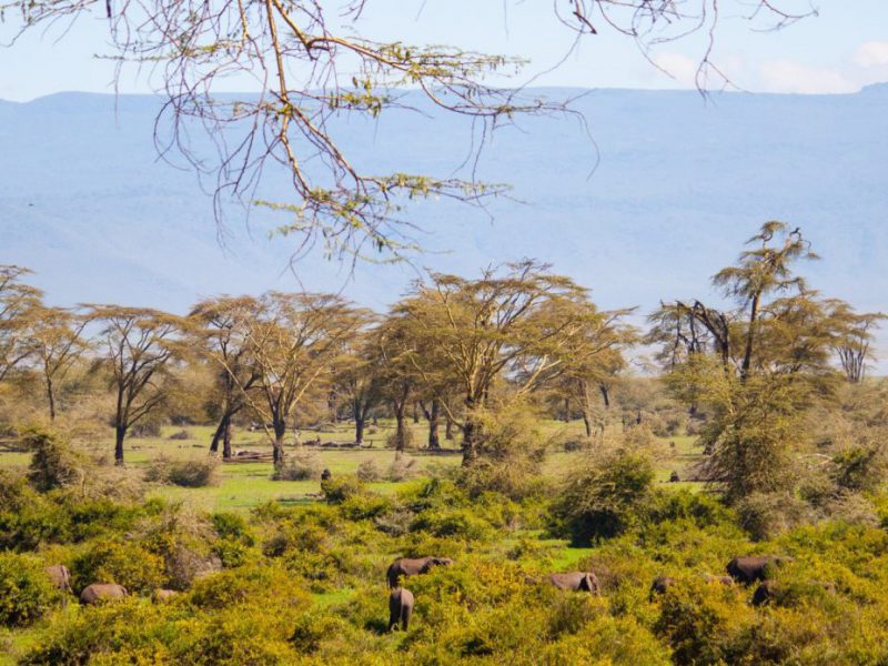 destinations-ngorongoro3